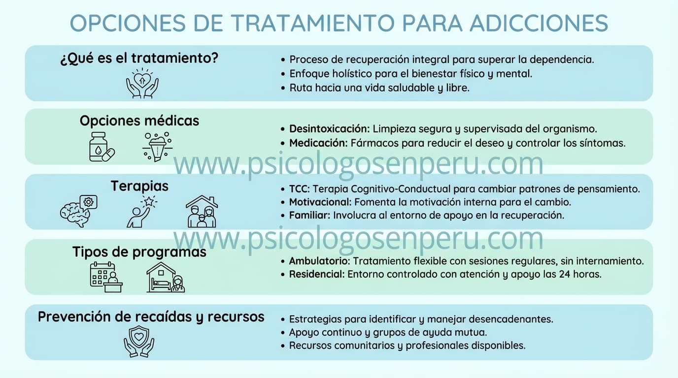 Infografía: ¿Qué opciones de tratamiento existen para las adicciones?